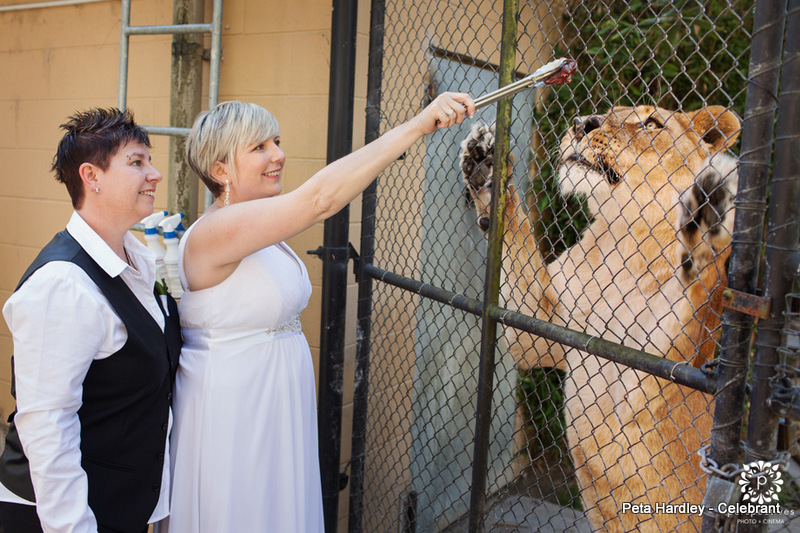 West Auckland Civil Union Celebrant